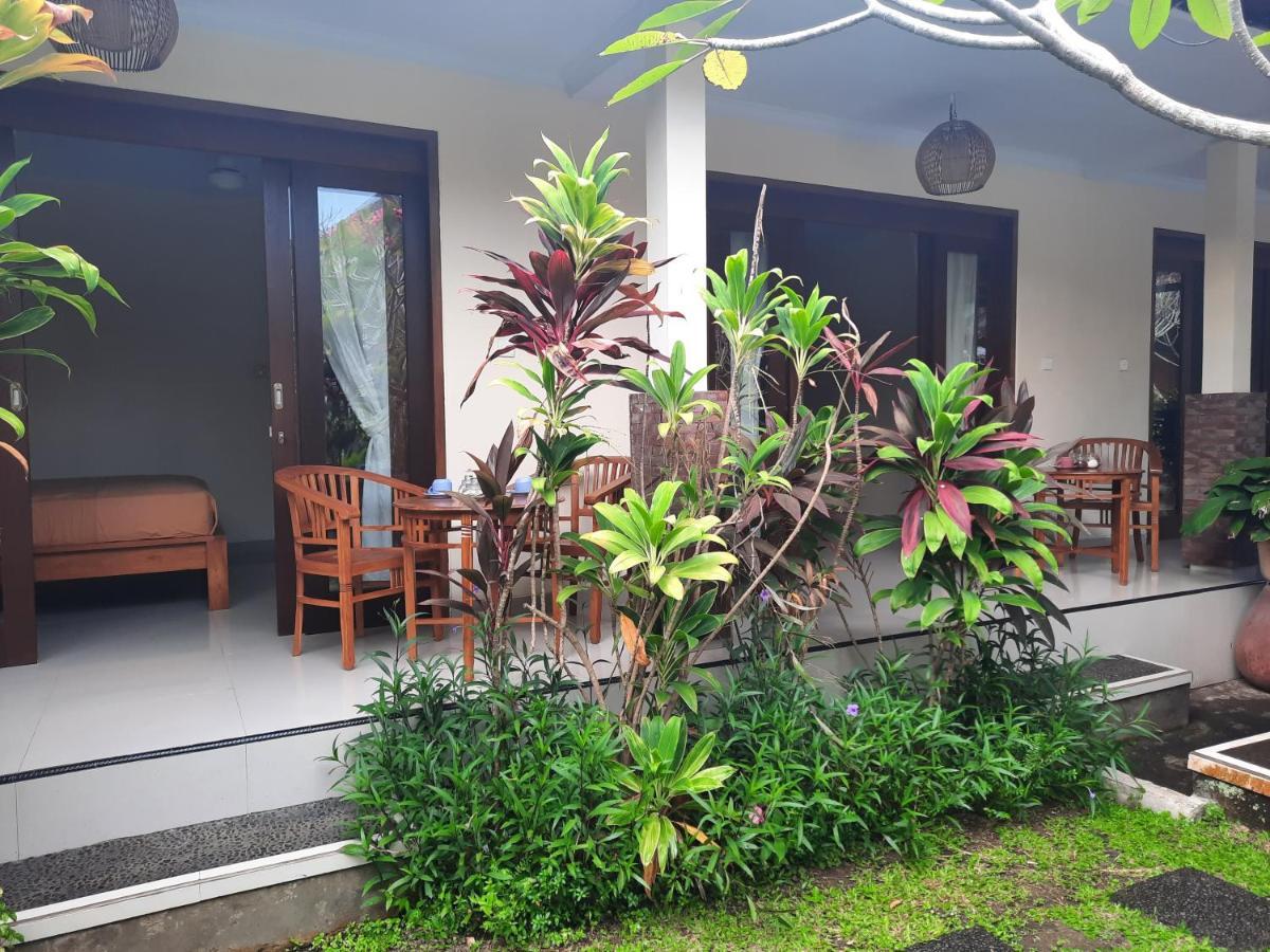 Darta House