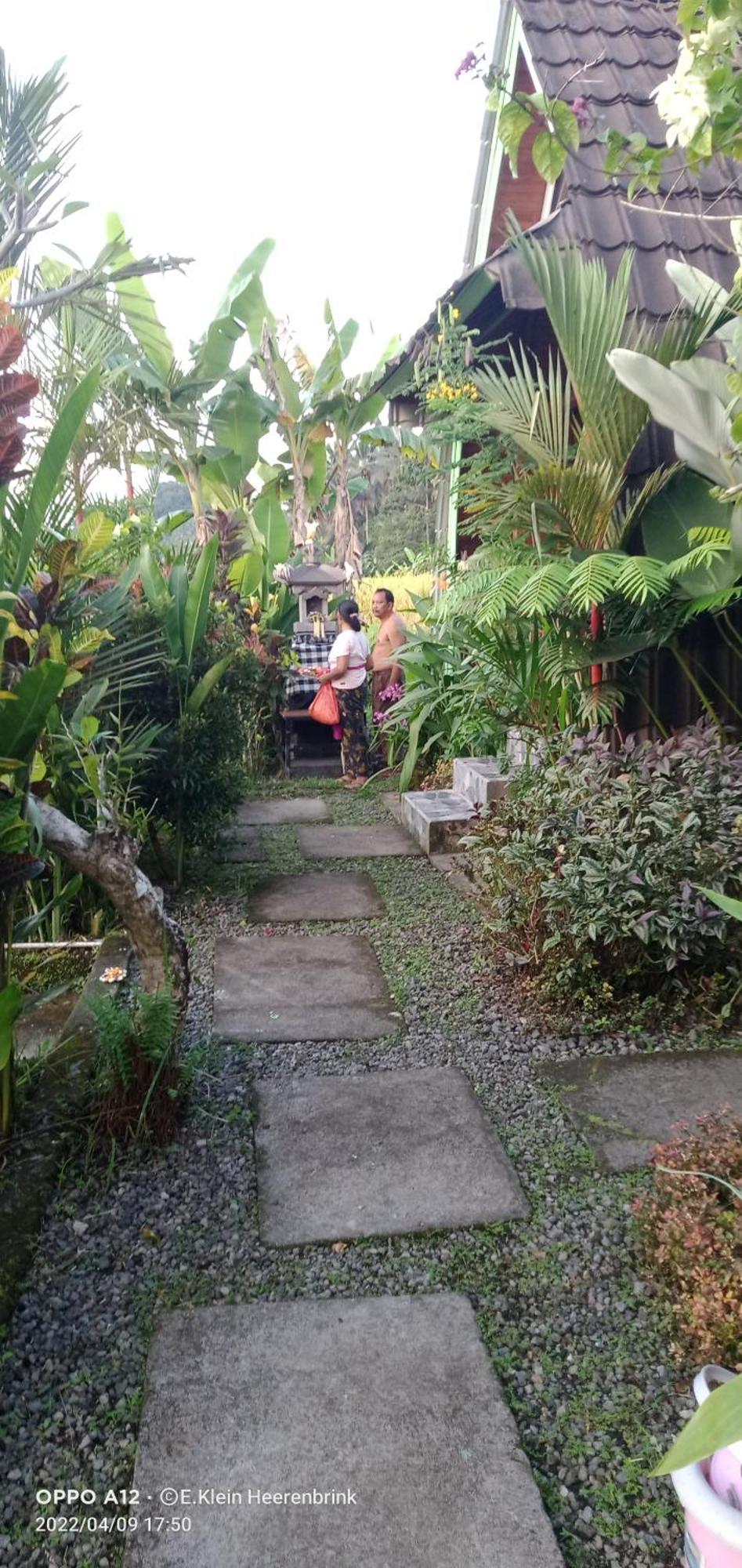 Leke Leke House Tegallalang Lodge