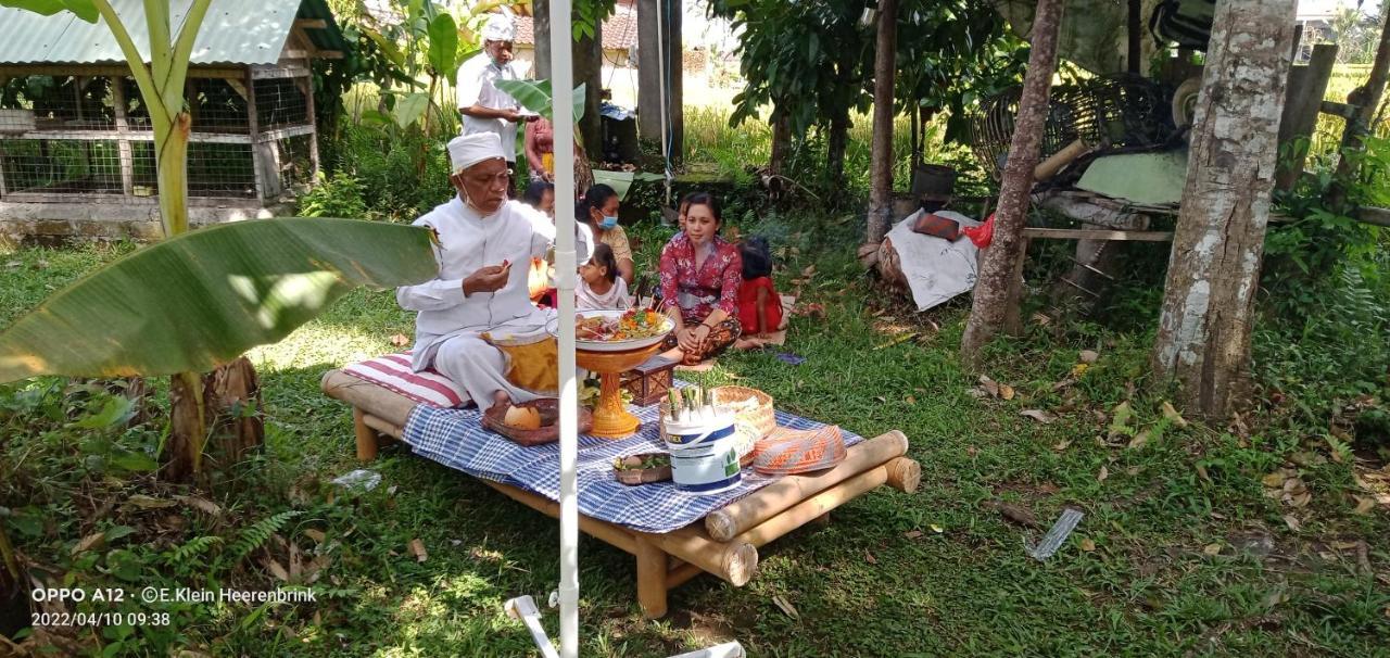 Lodge Leke Leke House Tegallalang Ubud (Bali)