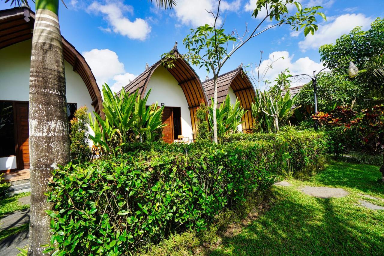 Adil & 4* Ubud