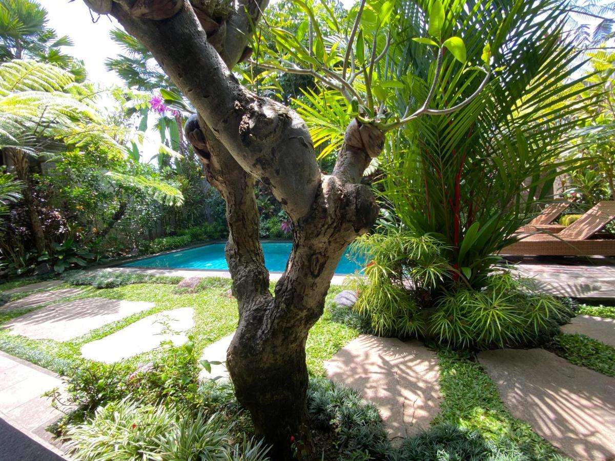 Vishaka Apartment