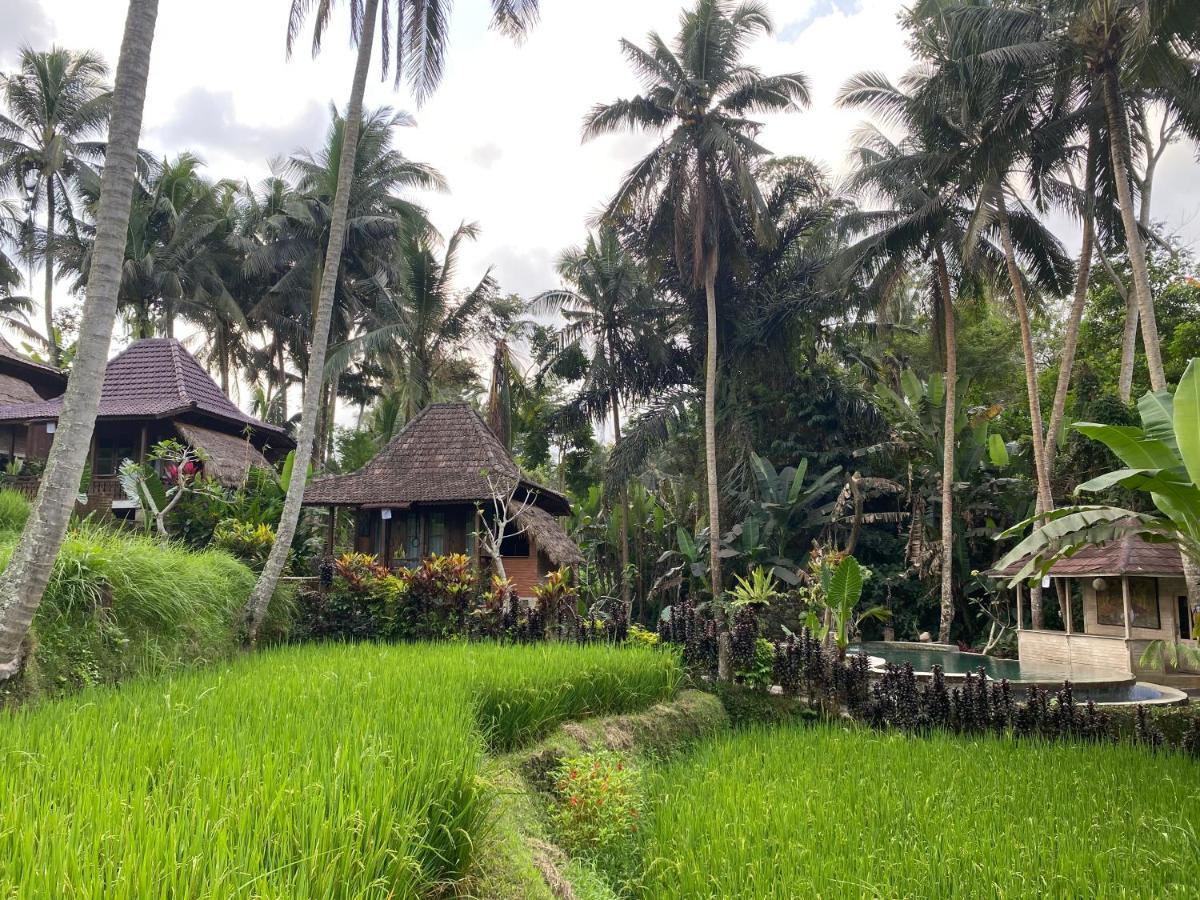 Junjungan