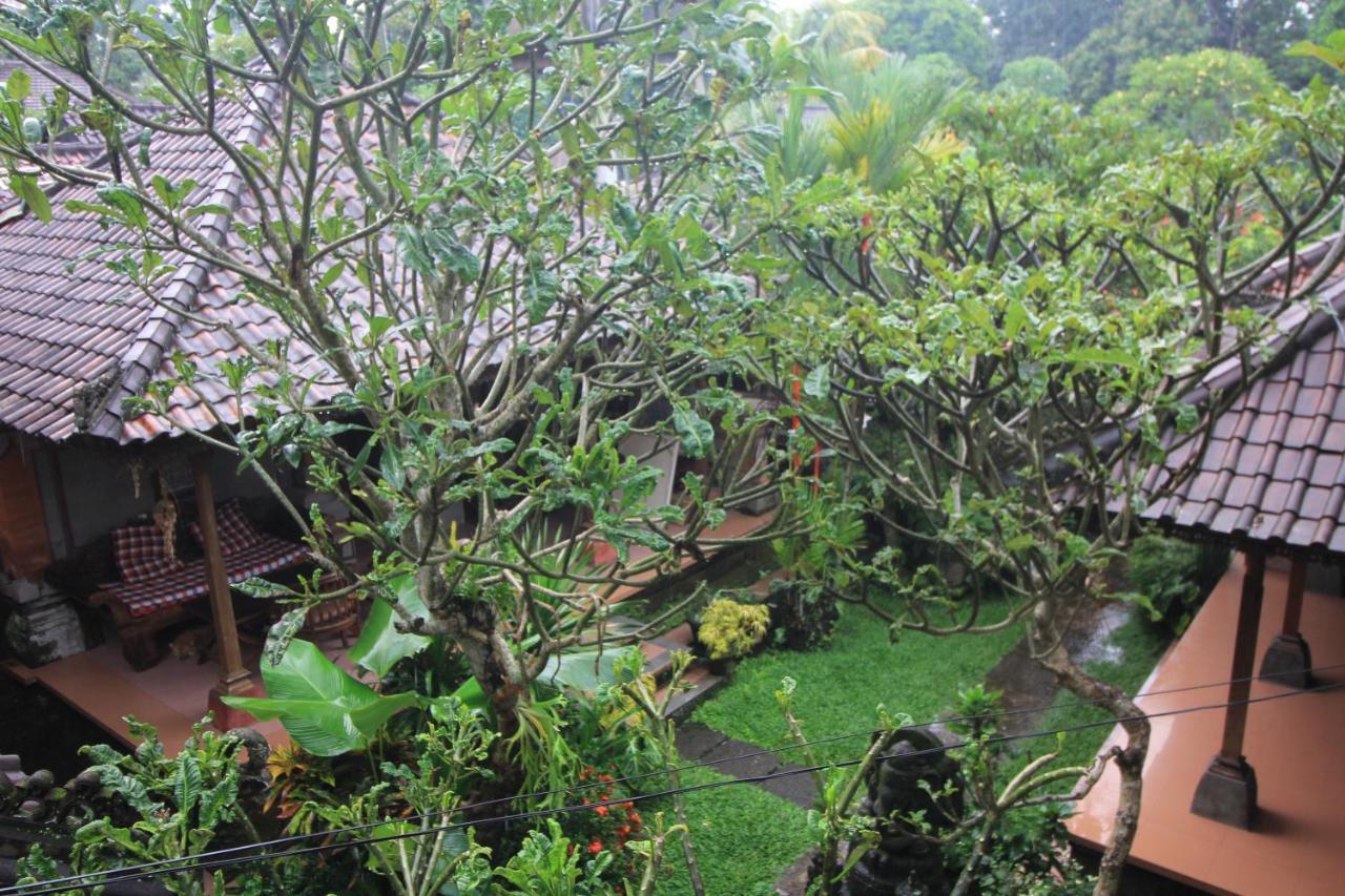 Aji Ubud (Bali)