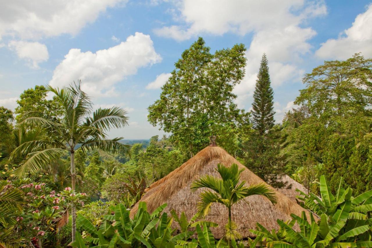 Como Uma Resort Ubud (Bali)