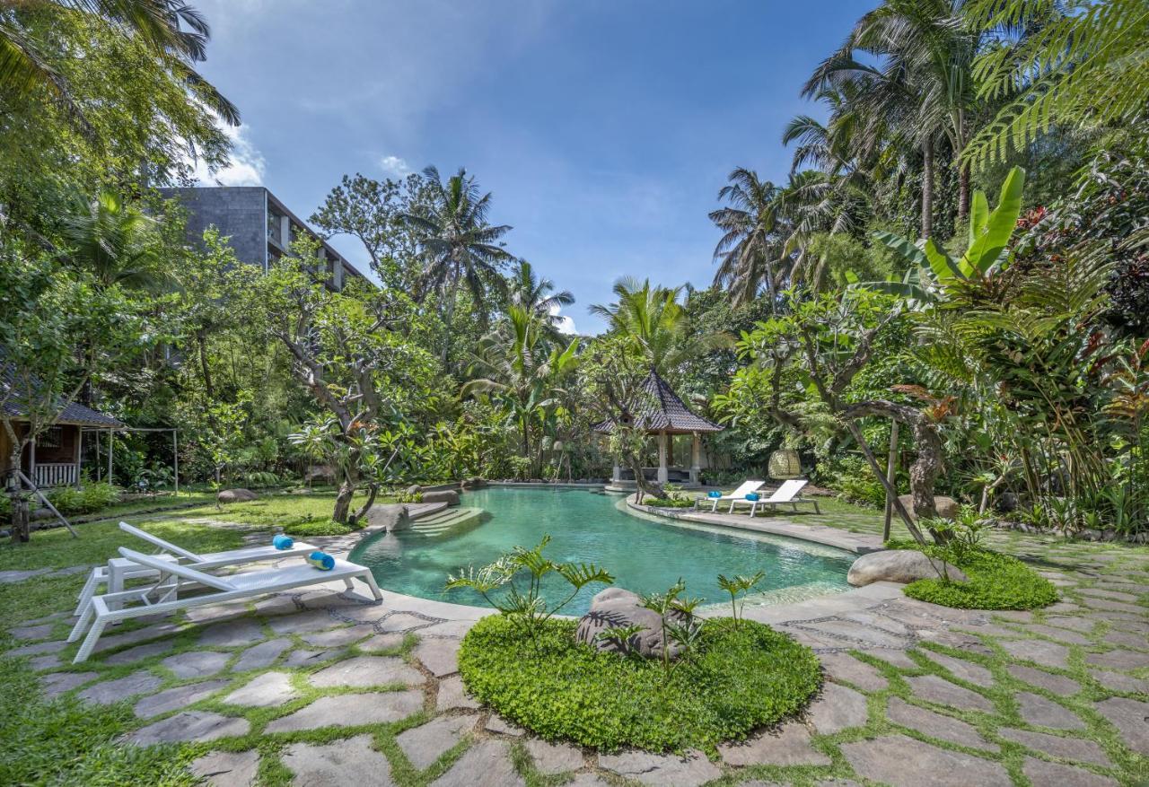Hotel Korurua Dijiwa