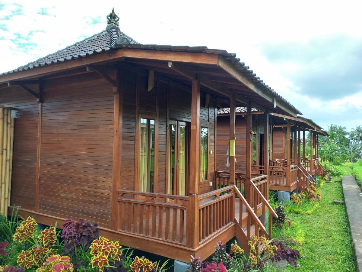 Rumah tetamu Ayu Ubud (Bali)