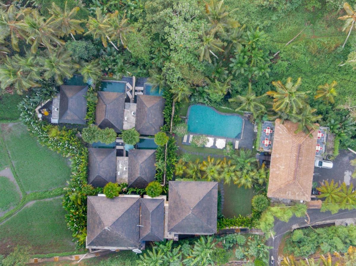 Hotel The Kalyana 4*