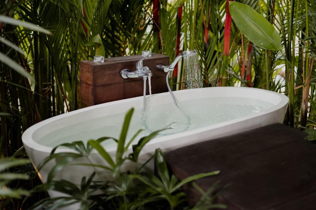 Earthship Eco *