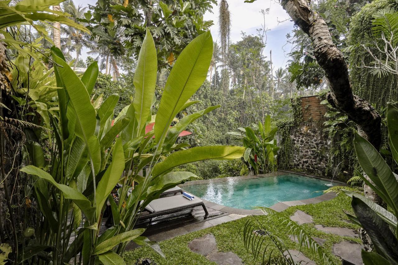 Villa Bubu Mesari Ubud (Bali)