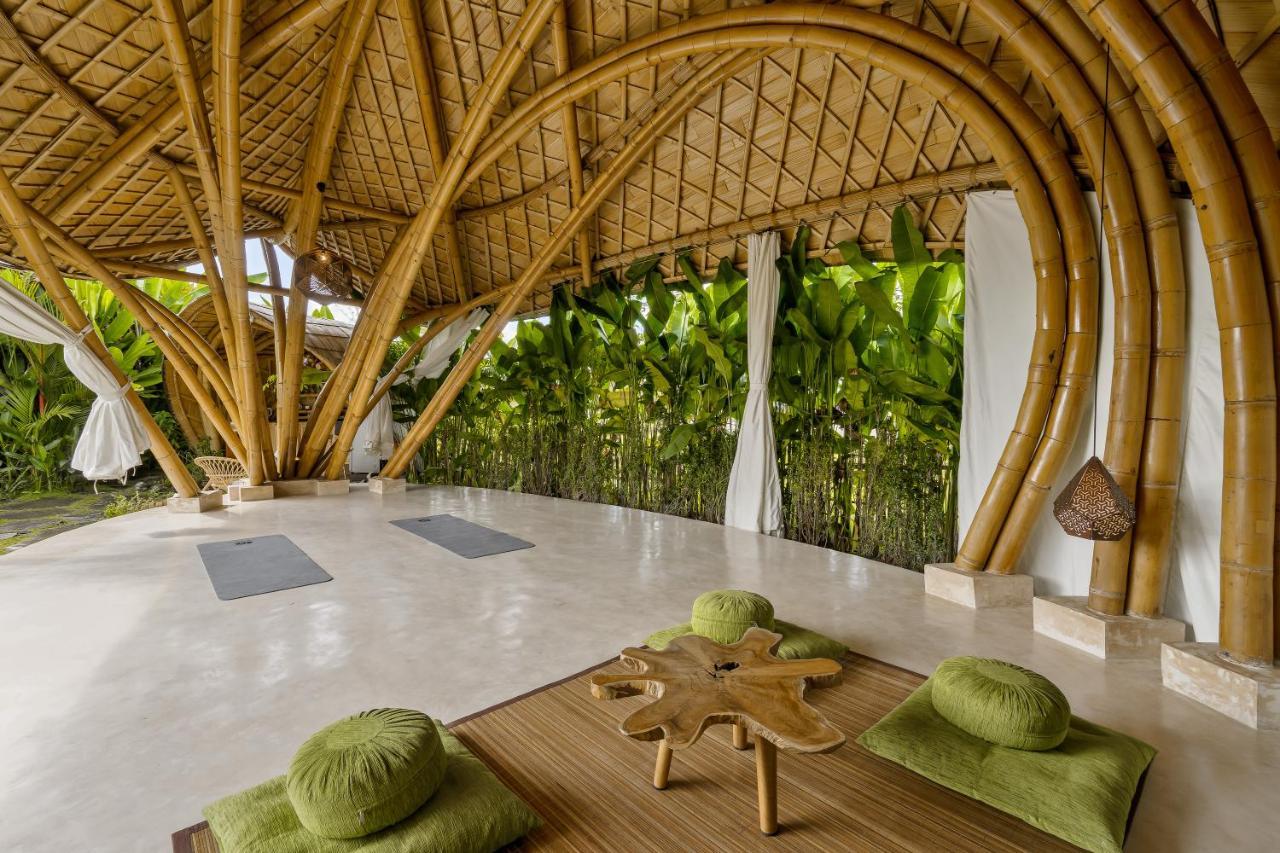 Earthship Eco Ubud (Bali)