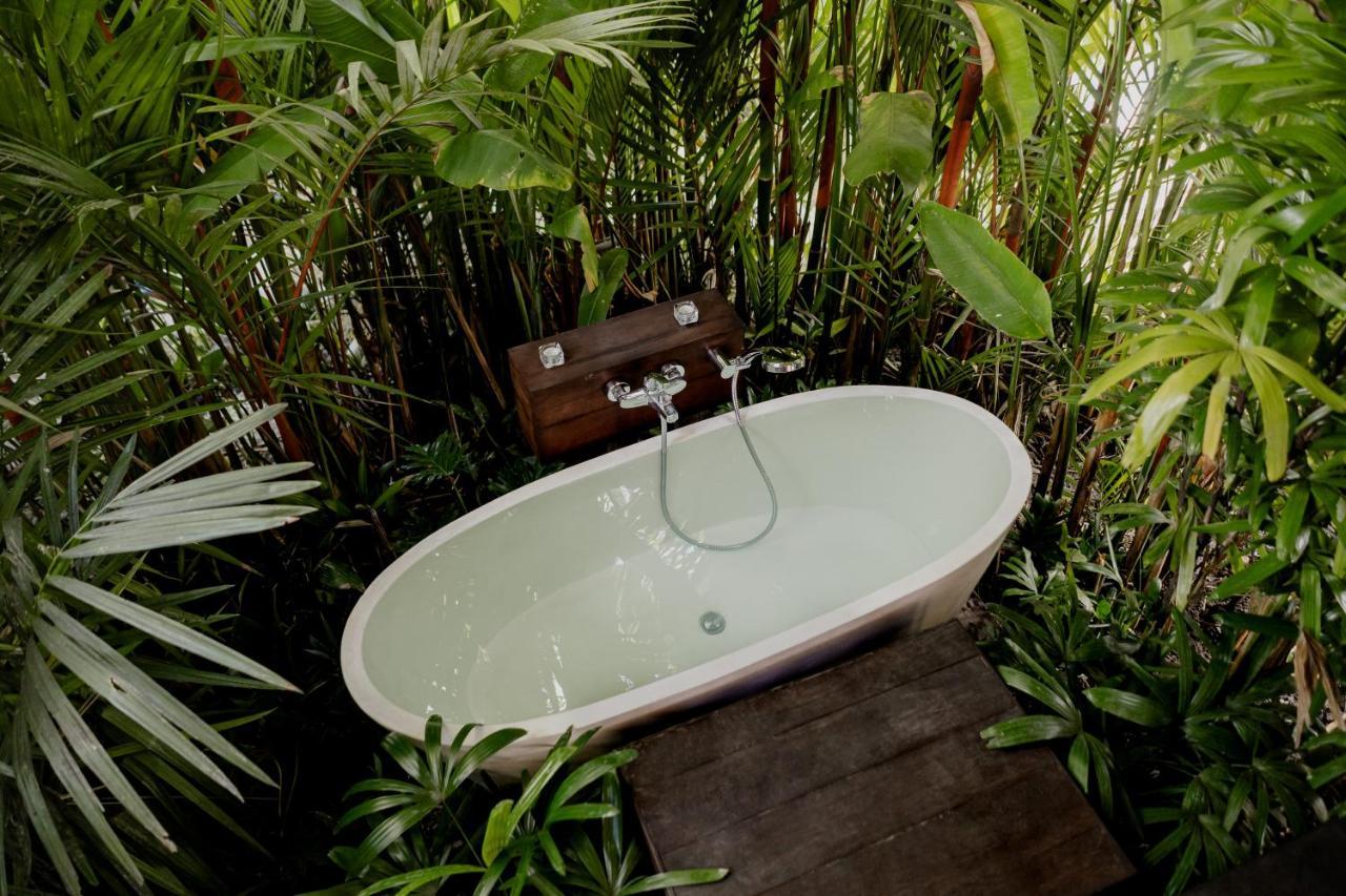 Earthship Eco