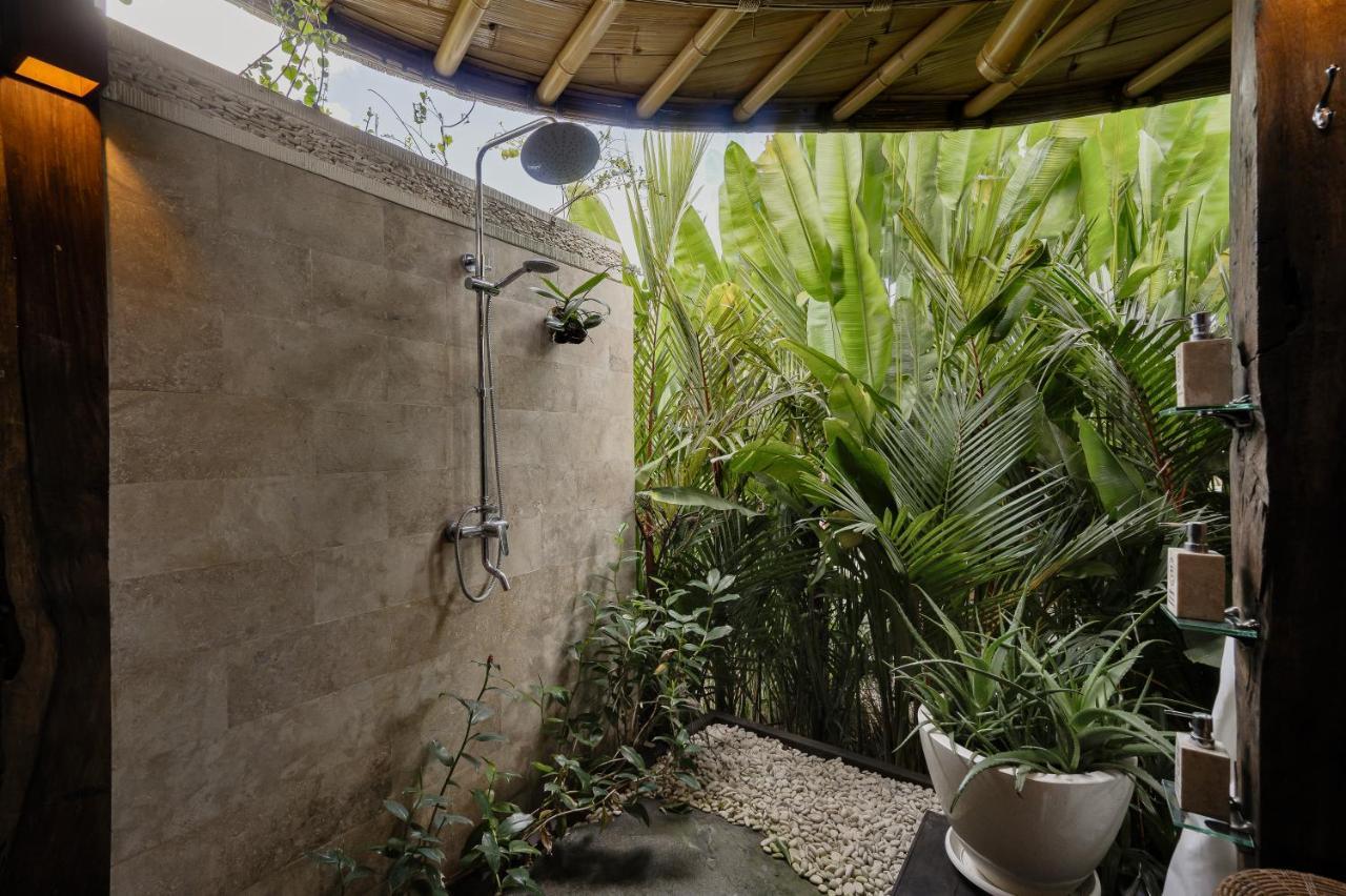 Villa Earthship Eco