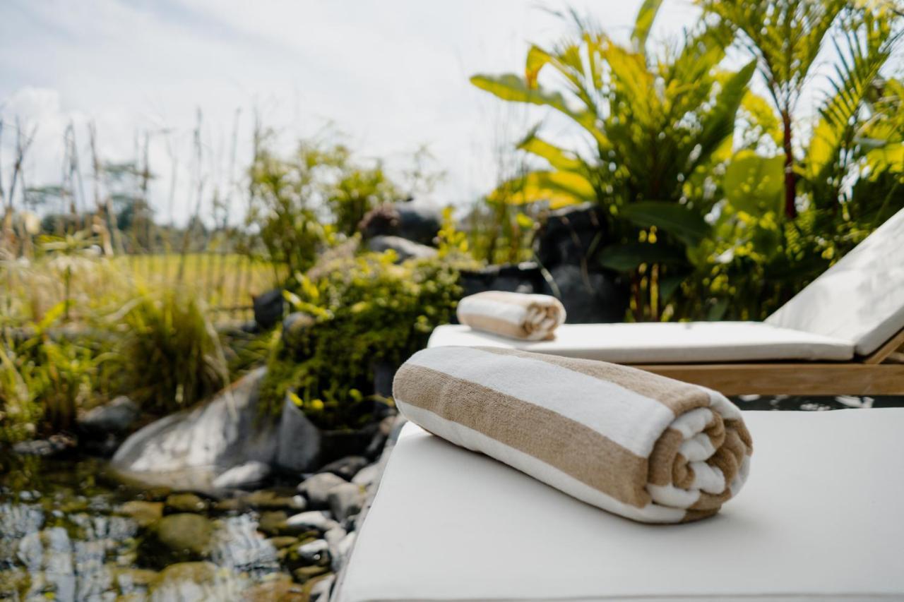 Earthship Eco Ubud (Bali)