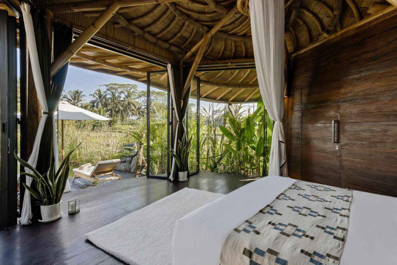 Earthship Eco *