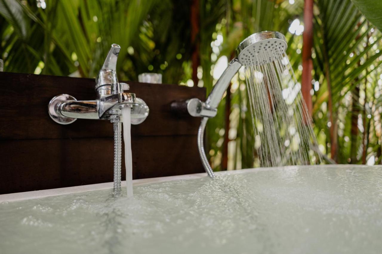 Earthship Eco Villa Ubud (Bali)