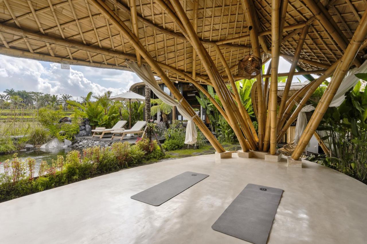 Villa Earthship Eco