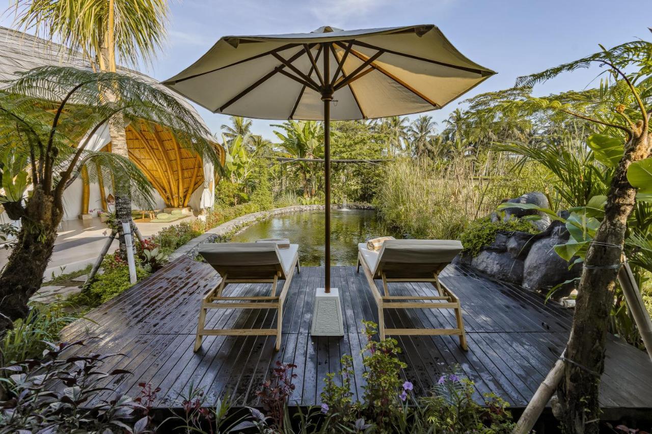 Earthship Eco Ubud (Bali)