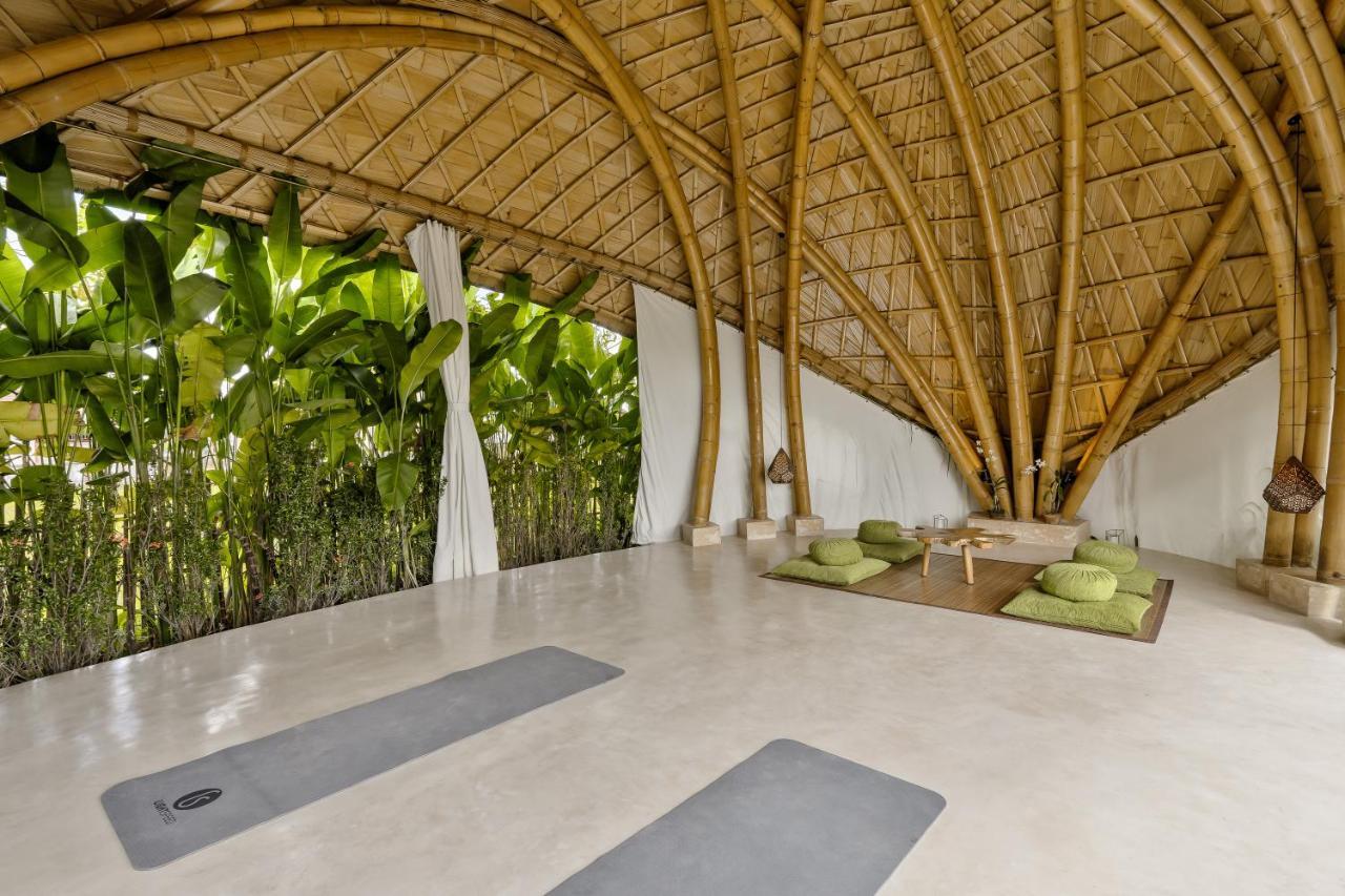 Earthship Eco