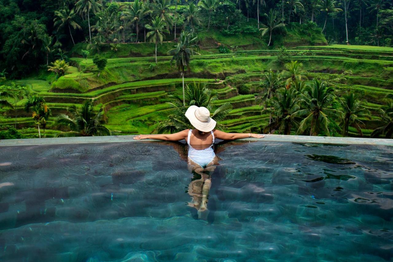 The Rimba By Balisuperhost *