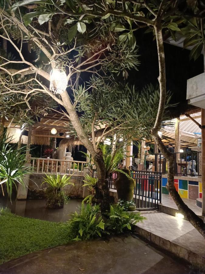 Villa Luxury Ada Padi One Bed *