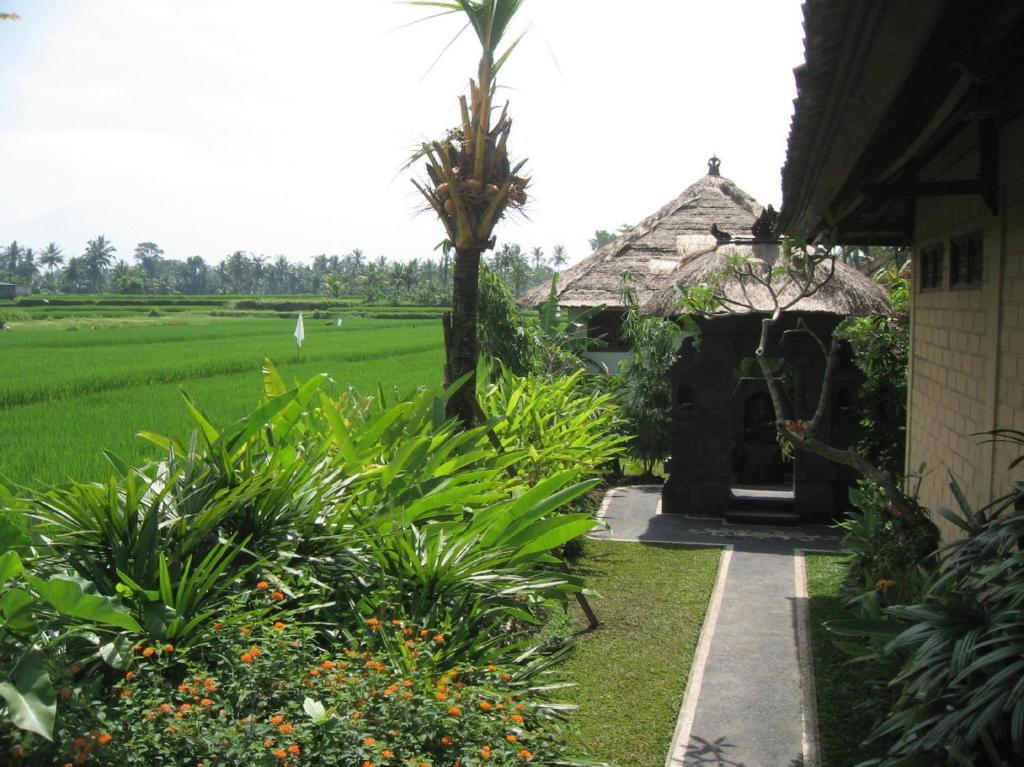 Terang Bulan 2*
