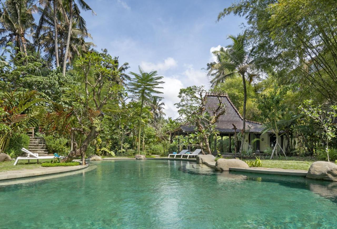 Korurua Dijiwa Hotel 4*