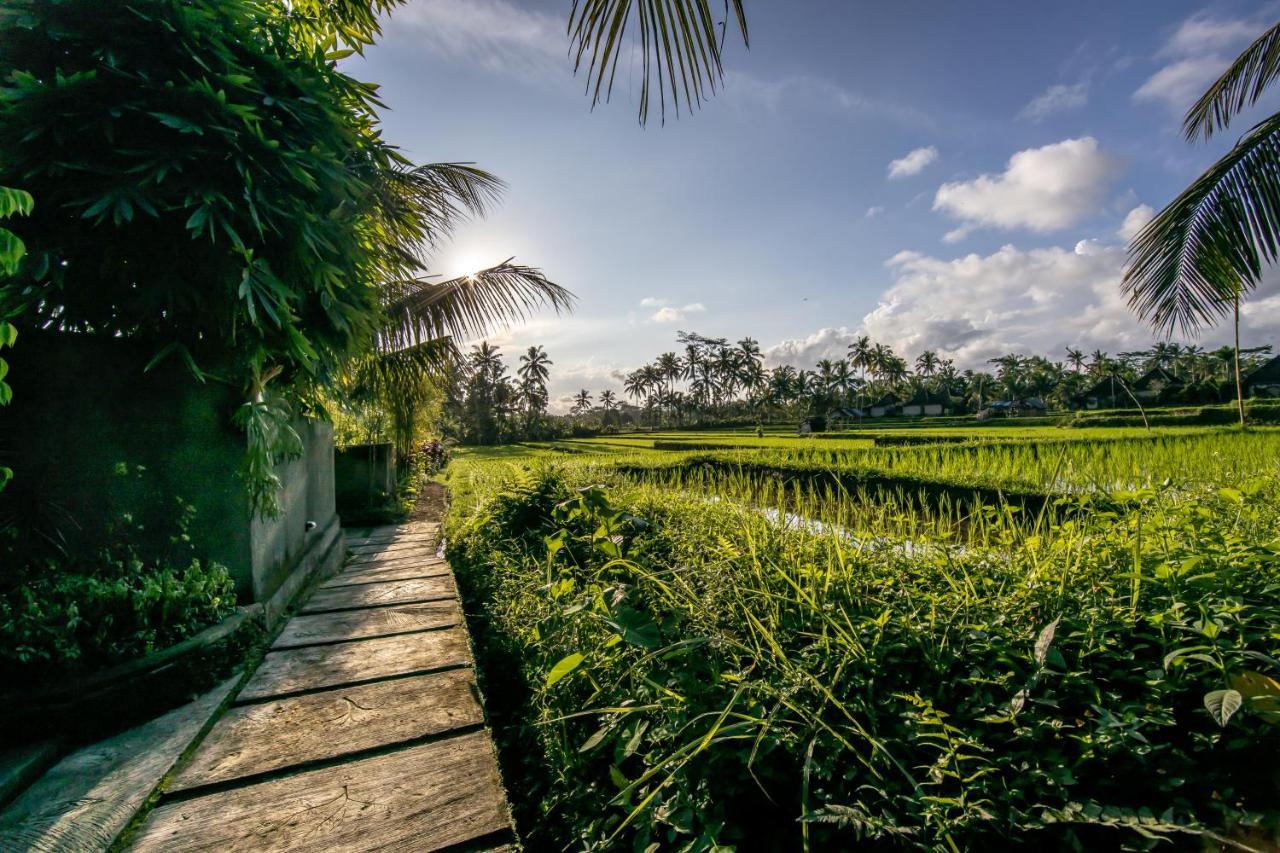 Natha * Ubud (Bali)