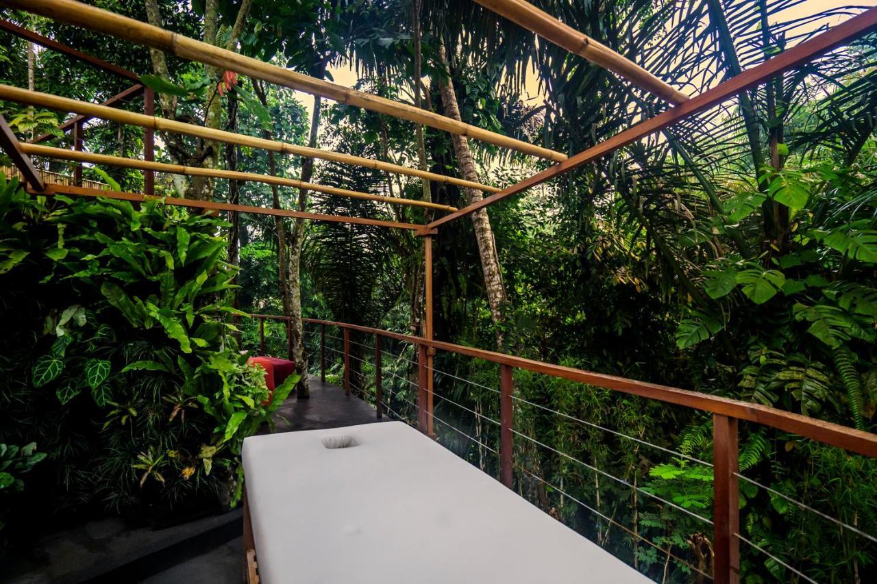 La Canopee By Balisuperhost *