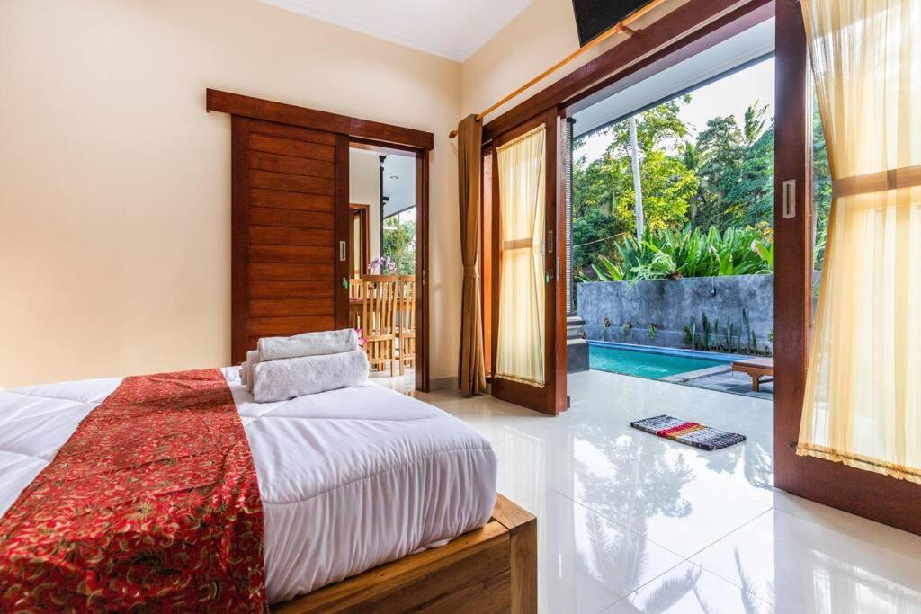 The Sun: Special Price For Bali-reopening *
