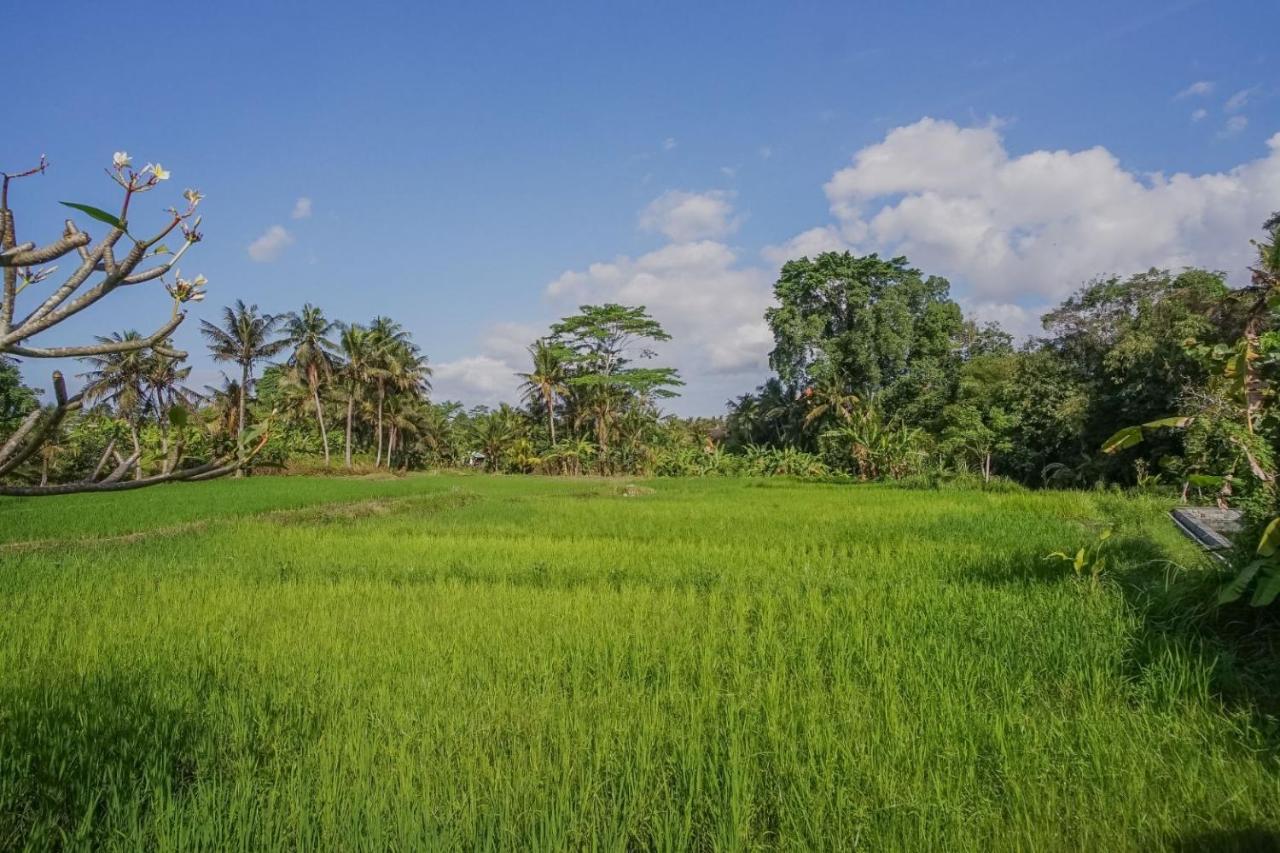 Nayaka Living Villa Ubud