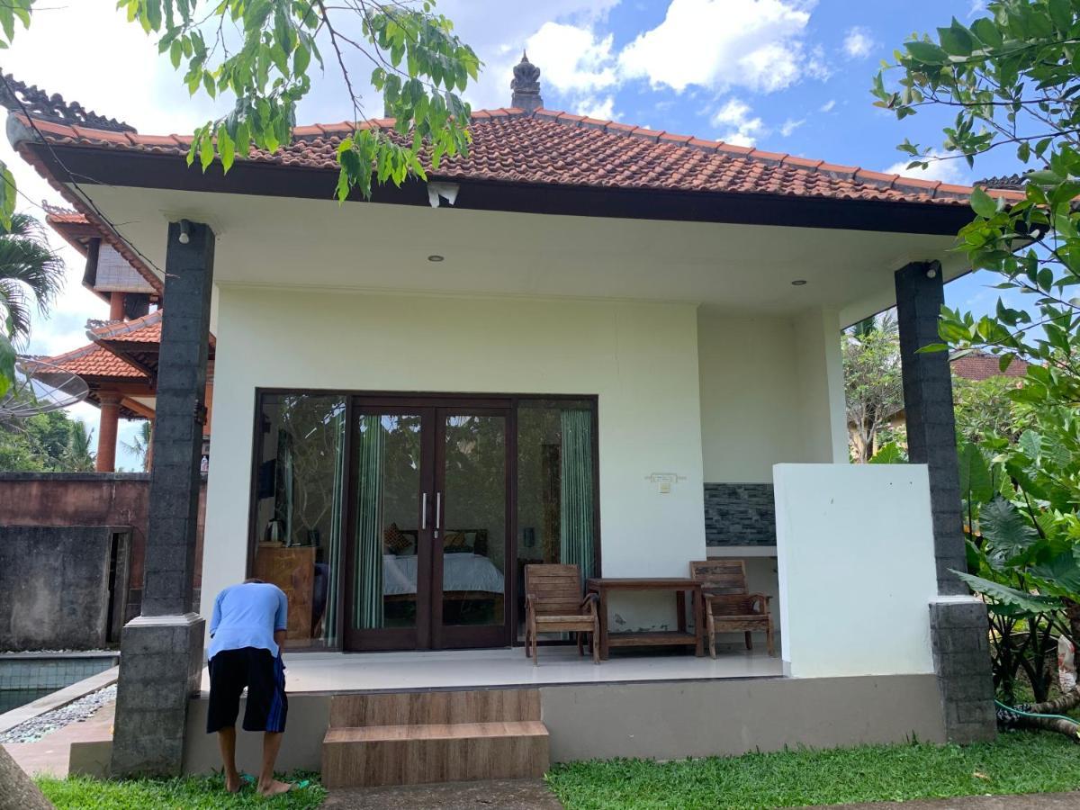 Guest house Wonder-land 3*