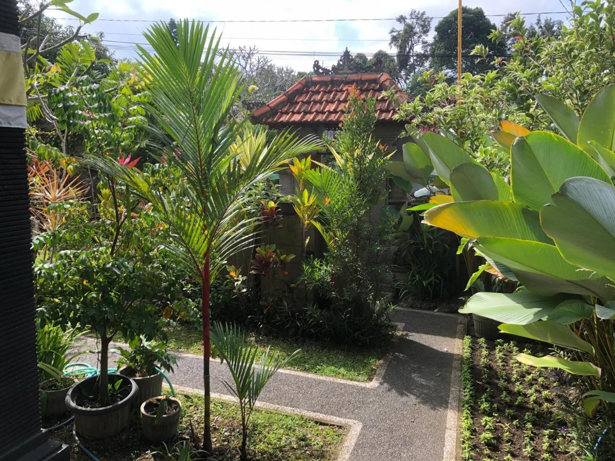 Badri Wisma tamu 2*