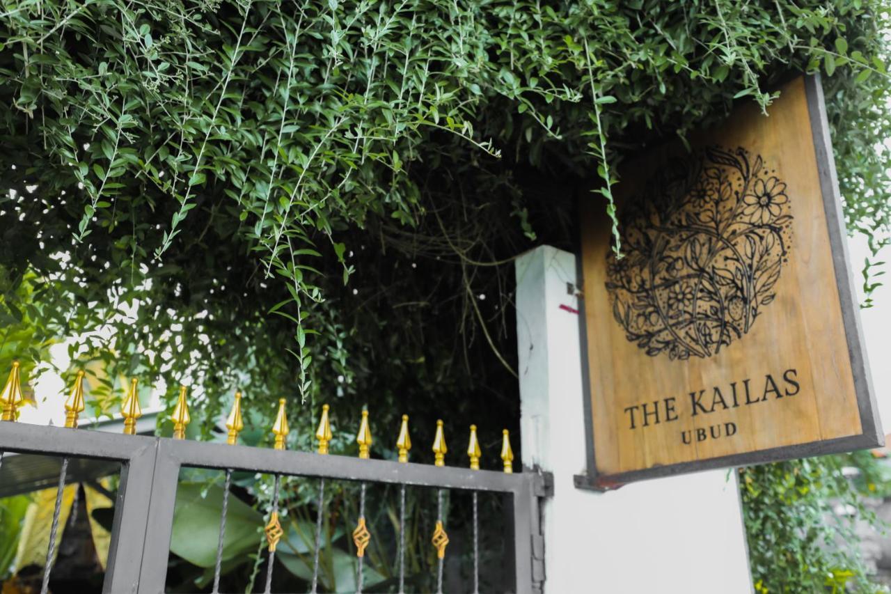 Vila The Kailas *