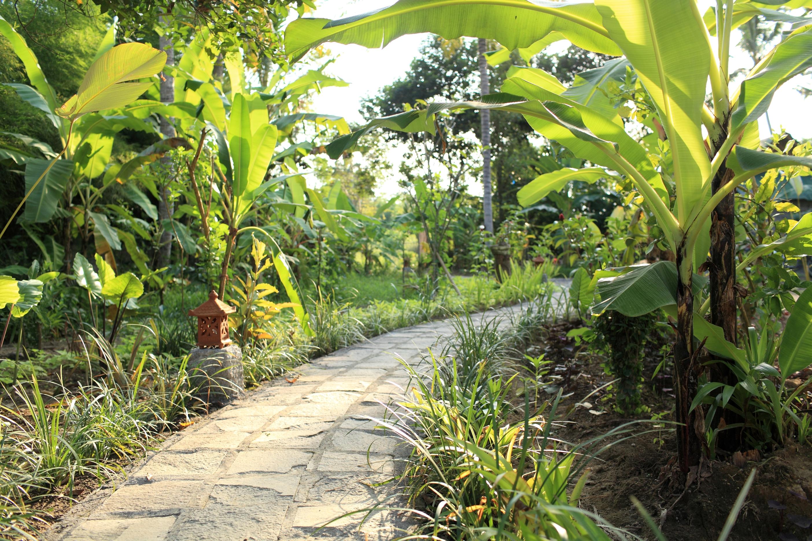 Hotel Ubad Retreat