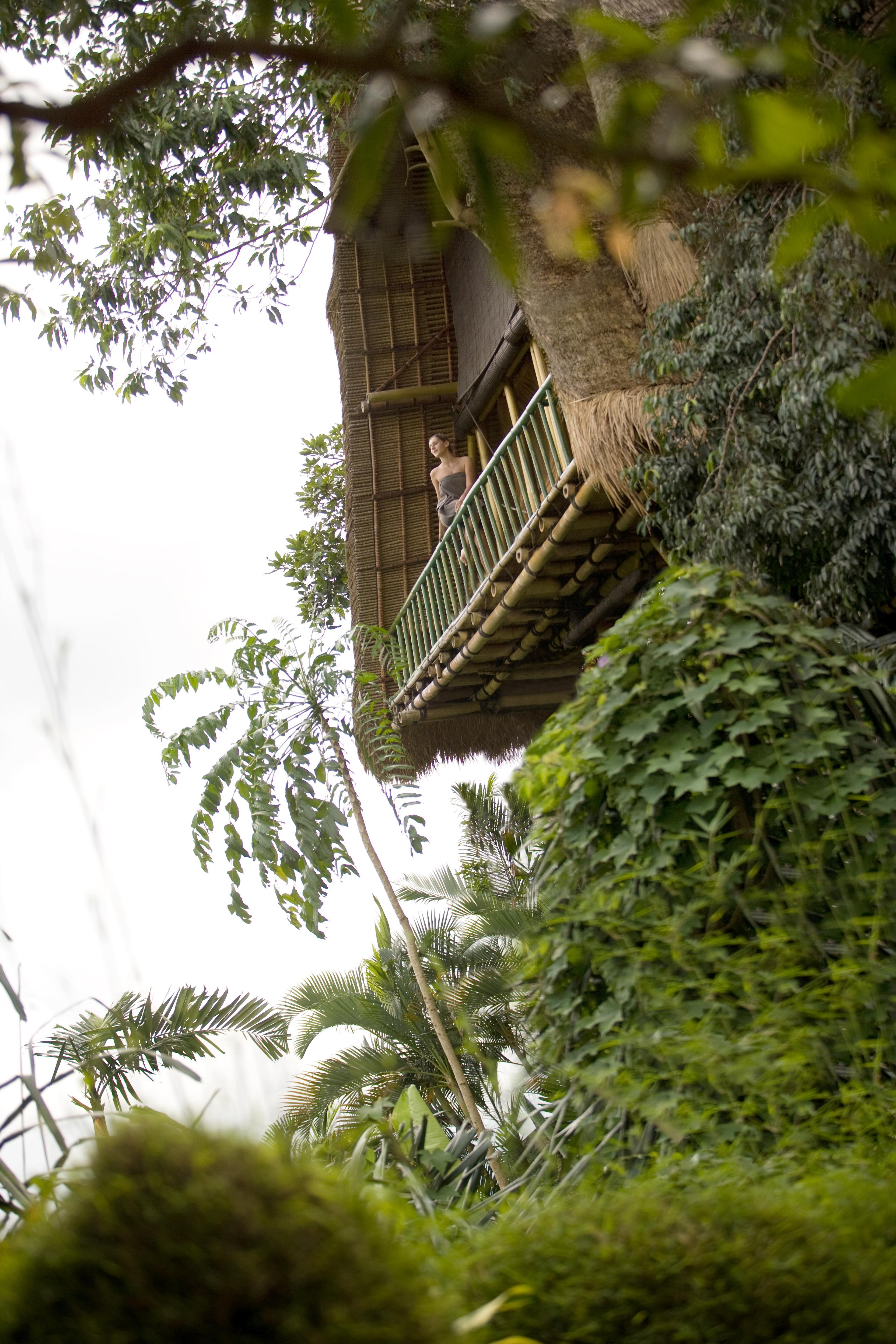 Resor Kupu Kupu Barong Villas&tree By L’occitane