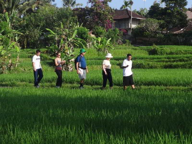 The Sungu & Ubud (Bali)