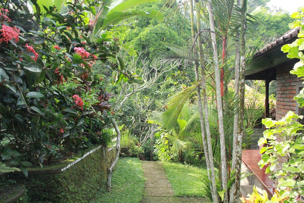 Aji Ubud (Bali)