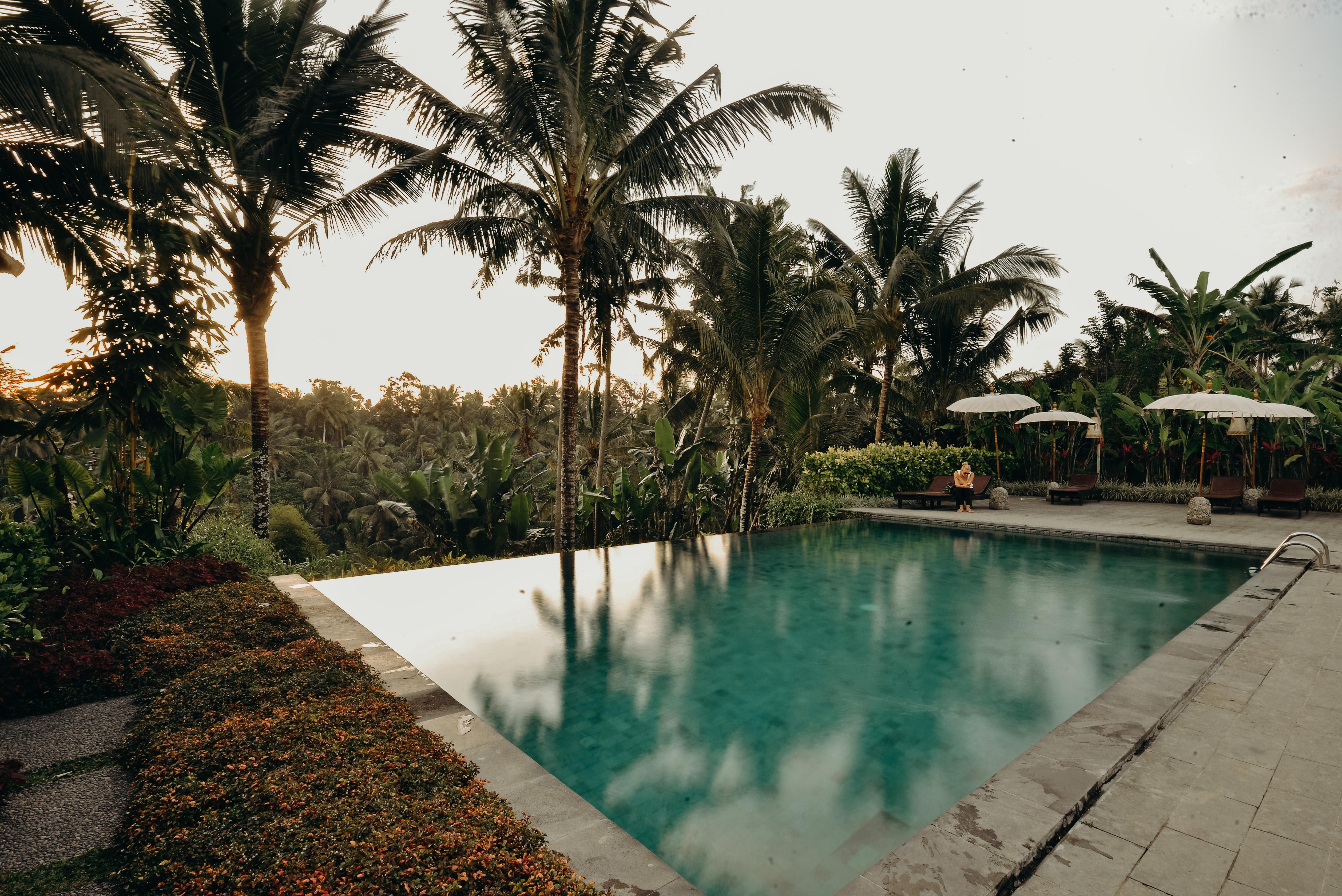 Pertiwi Bisma 3*