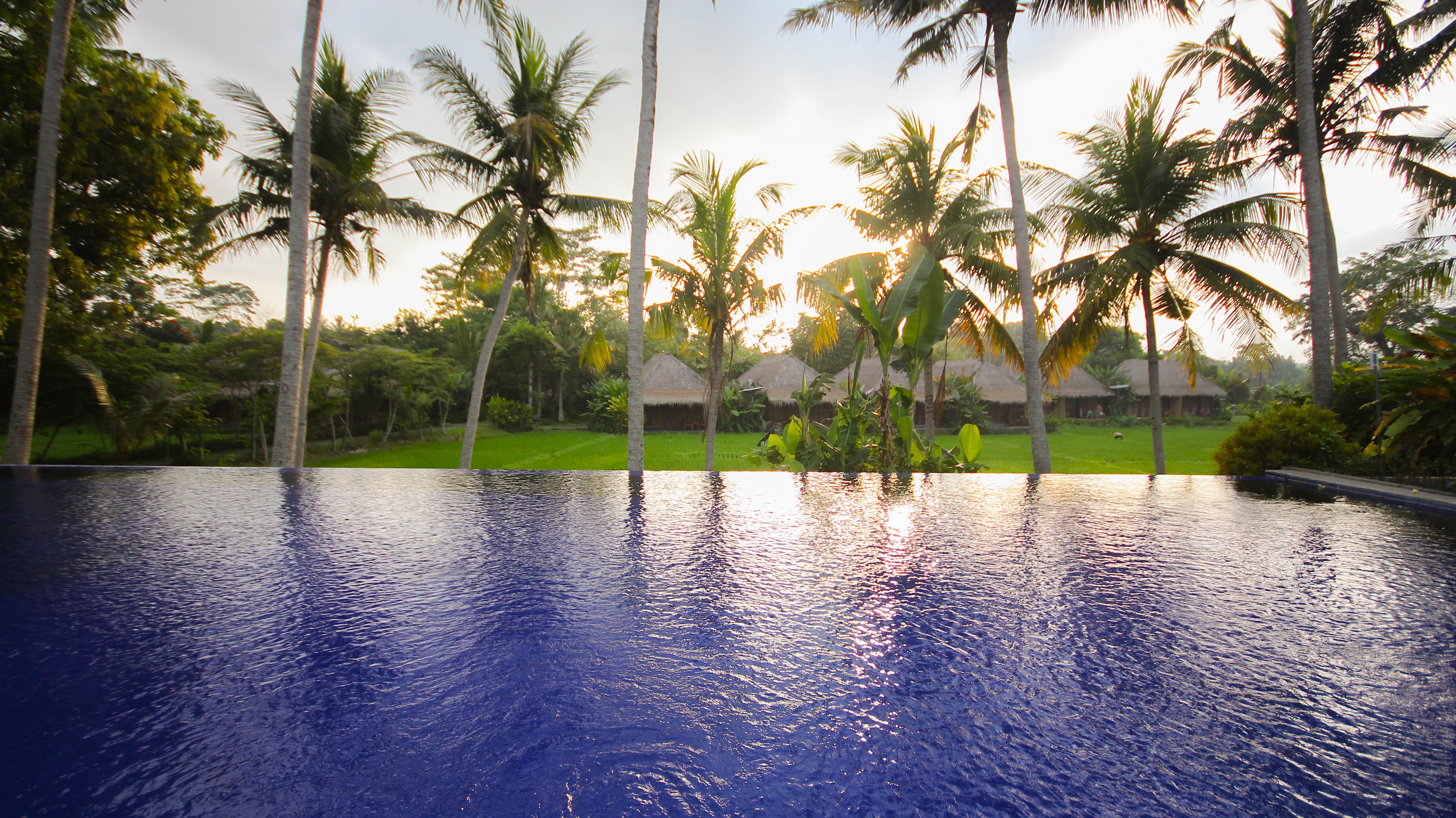 Serenity House Ubud Bali Casa de hóspedes 2*