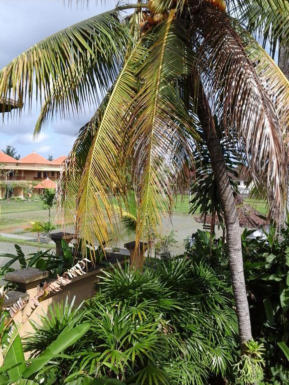 Guest house Rice Paddy Bungalow *