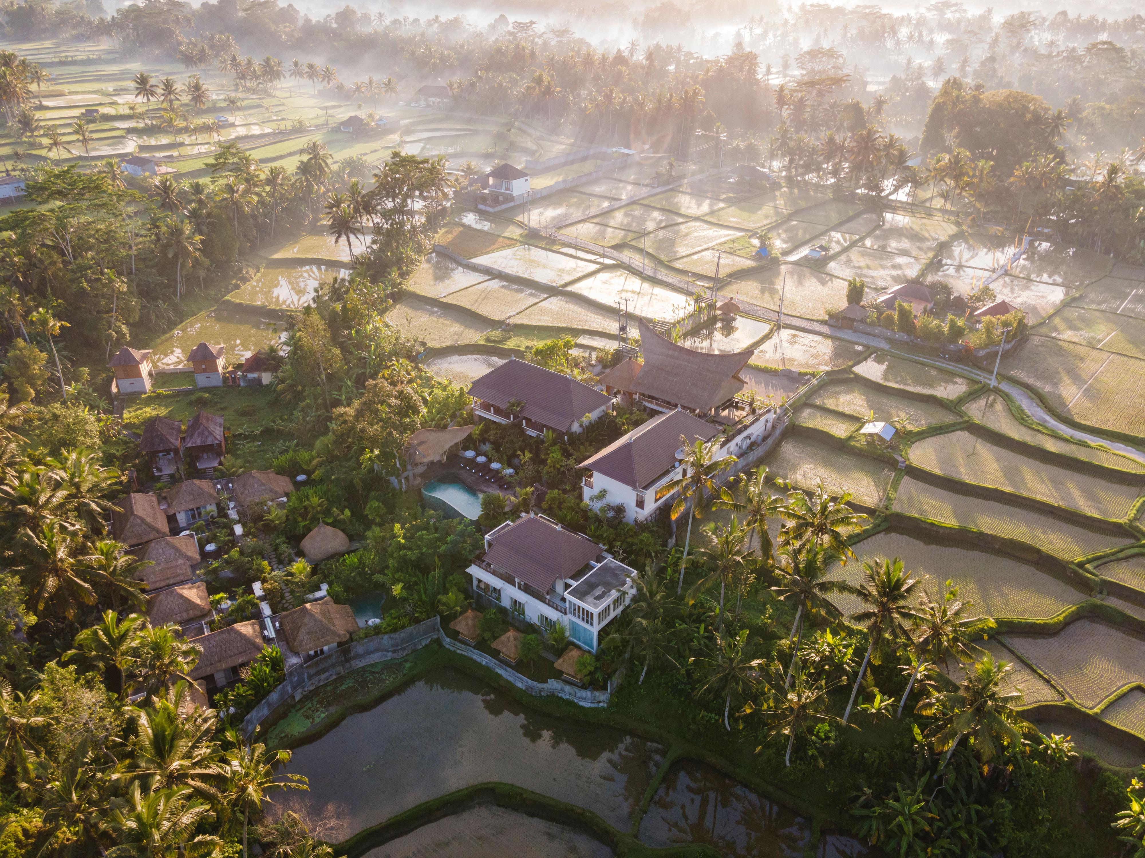 The Sun Of Granary And Resor 4*