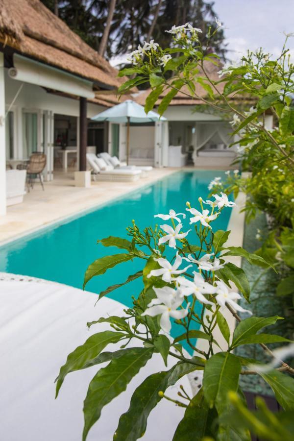 Villa Luxe Design Ubud (Bali)