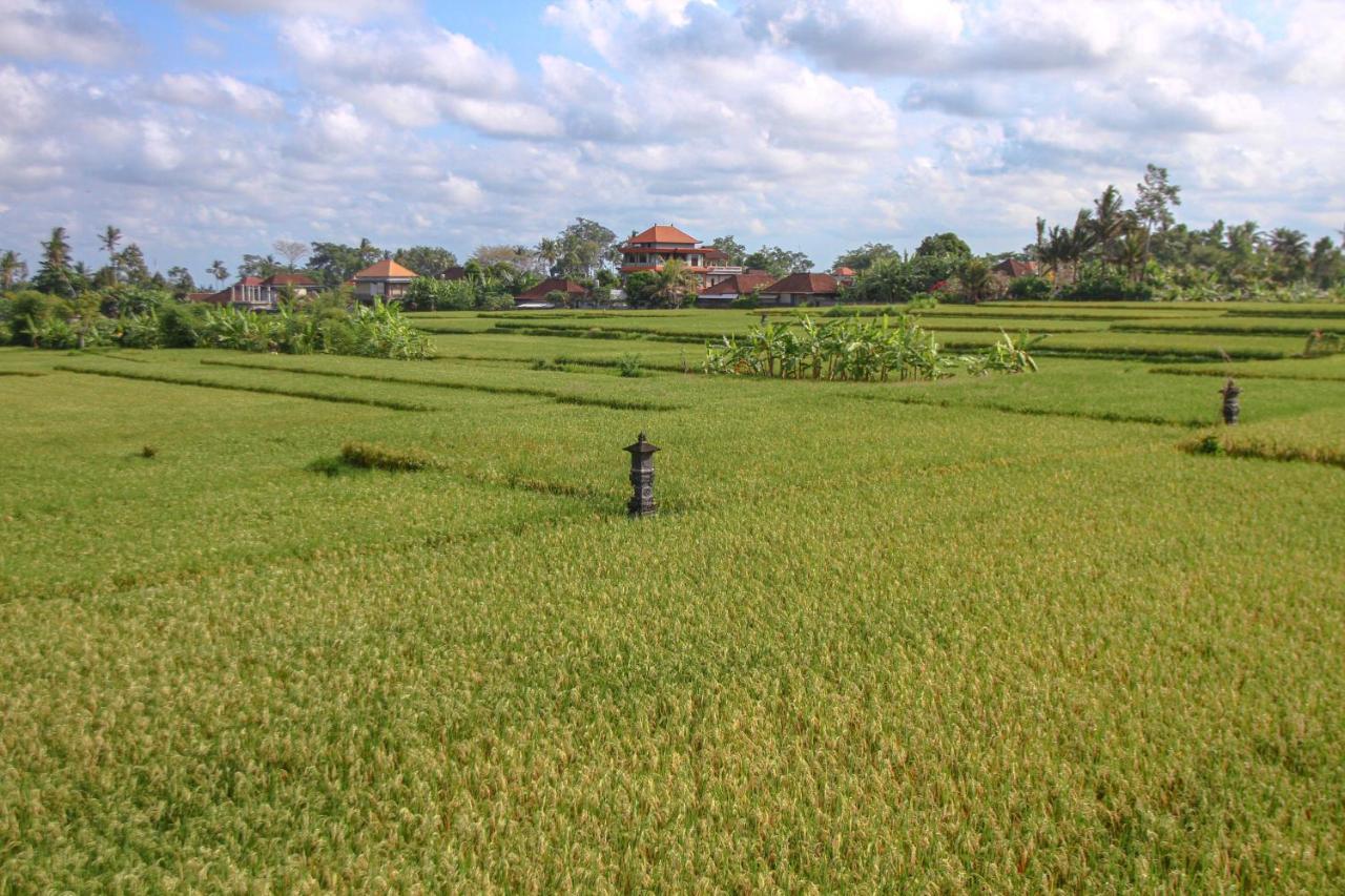 Kubu Sari