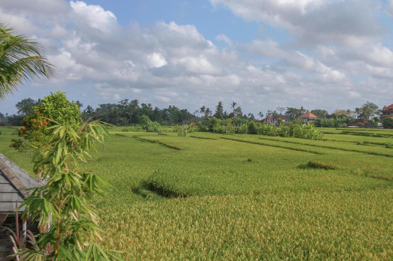Bed & Breakfast Kubu Sari *