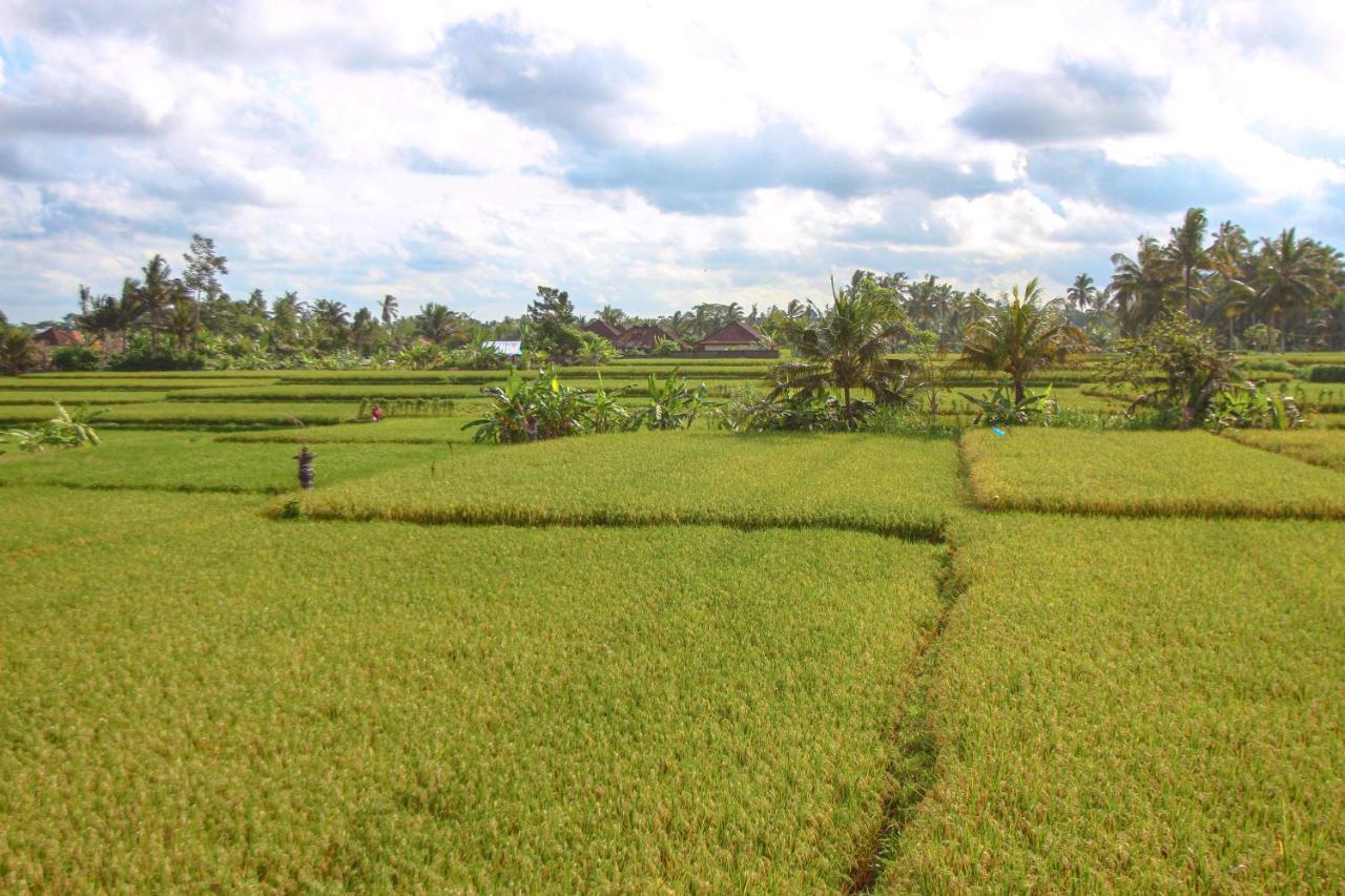 Kubu Sari Bed & Breakfast *
