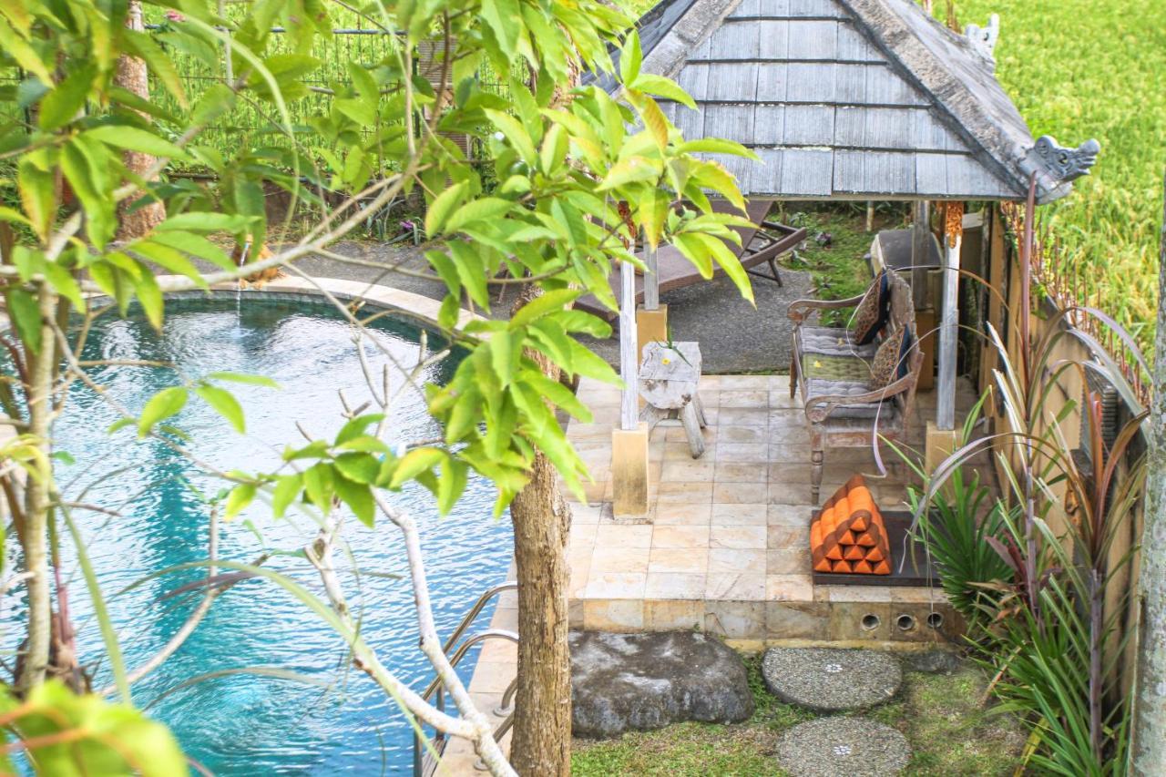 Bed & Breakfast Kubu Sari