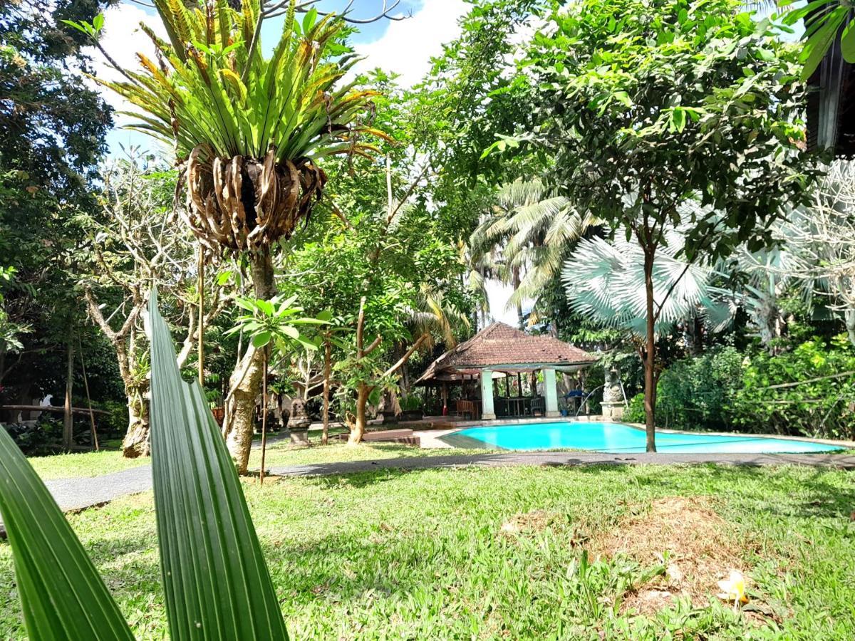 Hotel Panorama 2*