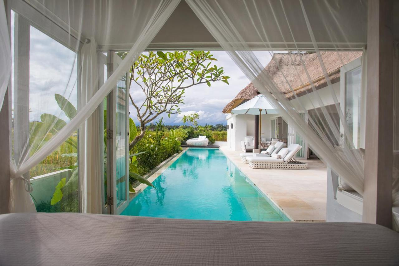 Luxe Design