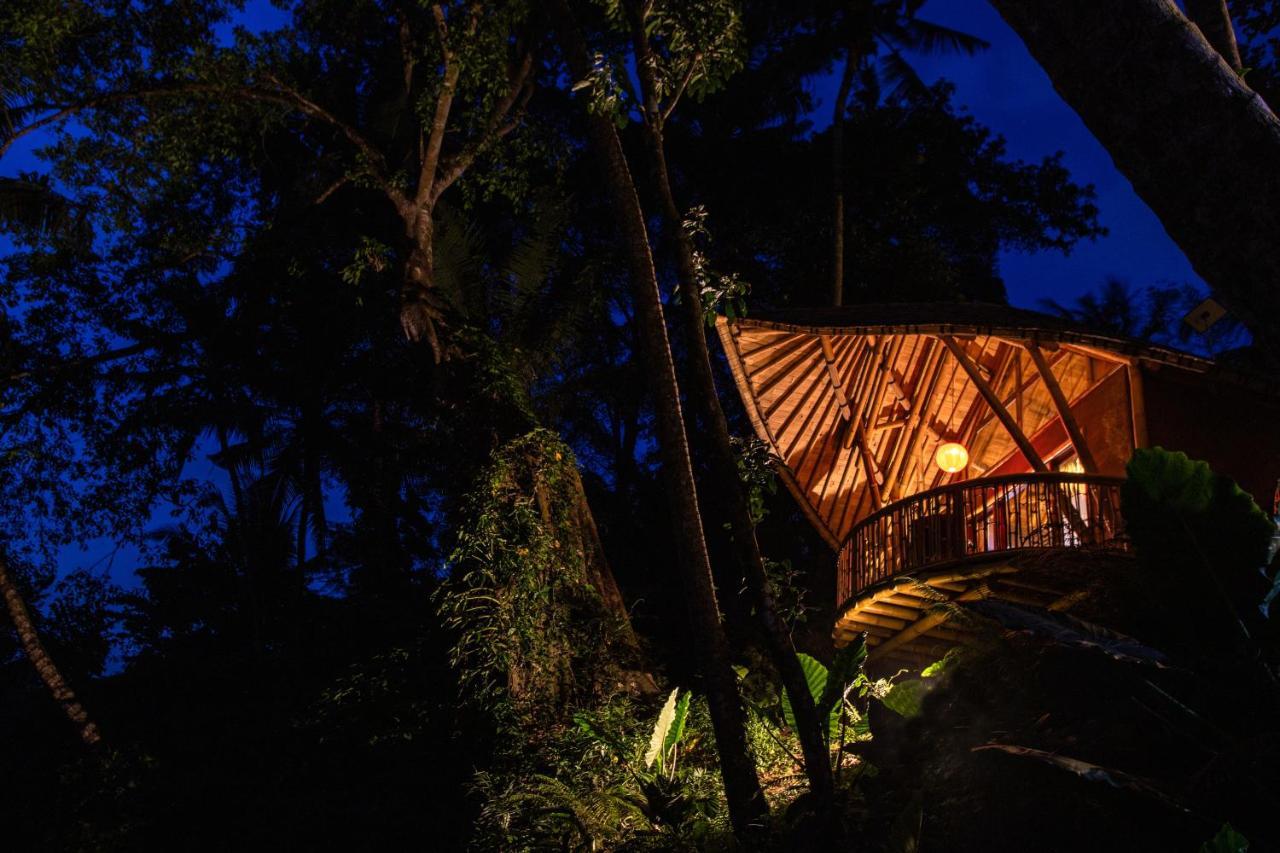 Lodge Bamboo Turtles Ubud (Bali)