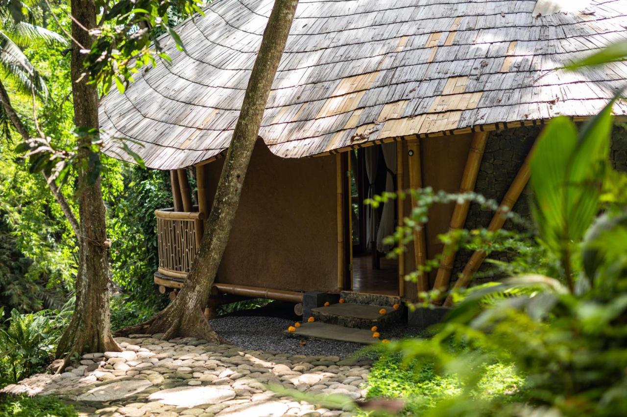 Bamboo Turtles Lodge